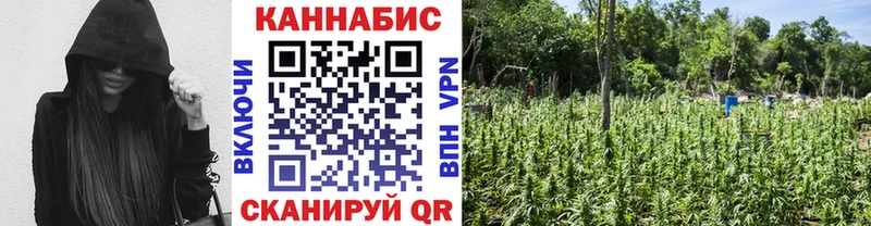 Канабис SATIVA & INDICA как найти наркотики мега маркетплейс Родники